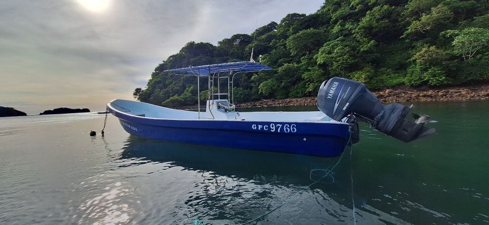 Pacifico Azul at anchor