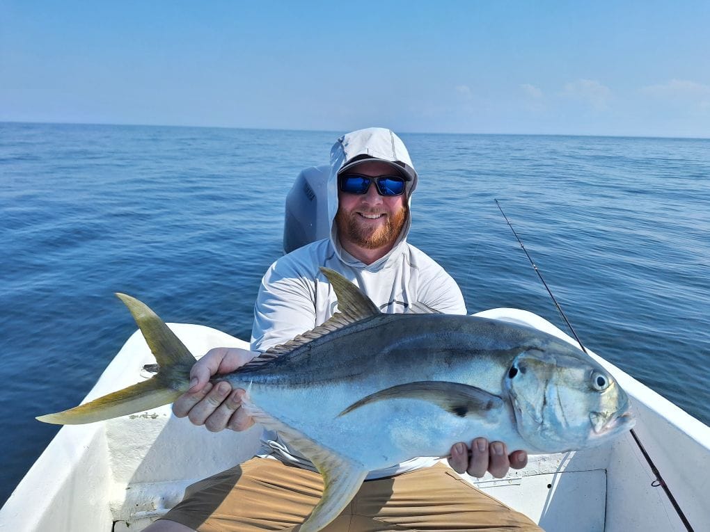 Jack Crevalle