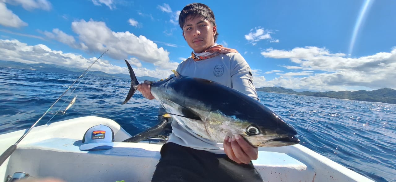 Yellowfin tuna